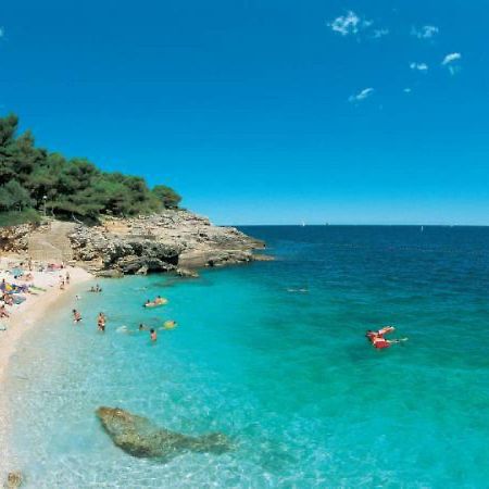 Apartment Ivona Centar Zadar Dış mekan fotoğraf